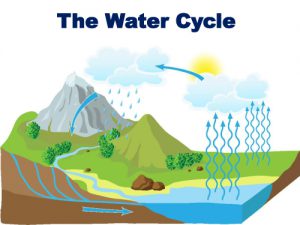 The Water Cycle- How rain is formed-Lesson