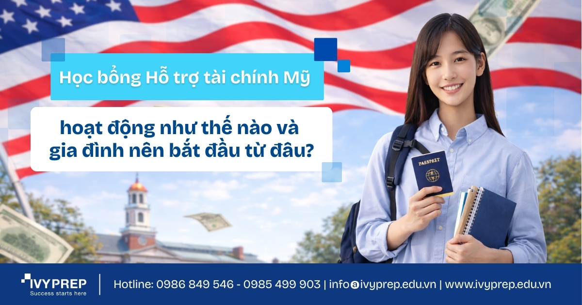 Bài đăng Website